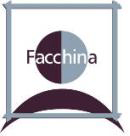 Facchina Strategic Planning, Inc.