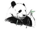Panda Consulting Group, Inc.
