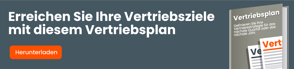 Vertriebsplan-Beispiel