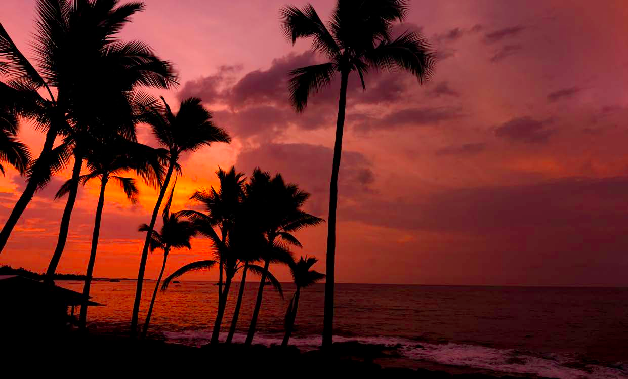 Hawaiian-Isle-Real-Estate Des volumes de ventes incroyables