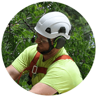 mytreeman-headshot my treemand company headshot