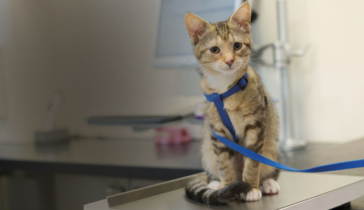 Incredible efficiency savings