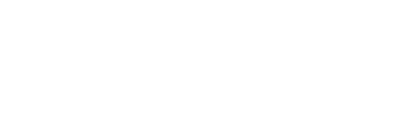 act! Premium logo
